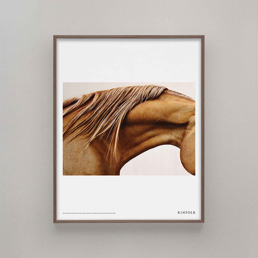 Alium（アリウム）は、デンマーク・コペンハーゲン発のアートとインテリアの融合を目指すポスターブランドかつギャラリーです。2010年代半ばにThe Poster Club創業者トーマスニッセン氏らによって設立され、歴史あるフレデリクスベルク市庁舎横の建物を拠点に、限定アート作品とオブジェを展示・販売しています。カラーや構図にこだわったポスターは、北欧的なスローライフや自然美を背景としつつ、無機質でミニマルな空間にも調和します。クラフトマンシップとデザイン性を重視し、アーティストとの協働によるオリジナリティ溢れる作品を通じて、「暮らしを美と創造性で豊かにする」姿勢を訴求しています。ギャラリーでは巡回展やアートイベントを定期開催し、既成のインテリア領域に留まらない文化的な体験の場を提供。ポスターという商材を媒介にしながらも、生活空間とアート空間の垣根を解き、個々の感性に触発を与えることをミッションとしています。