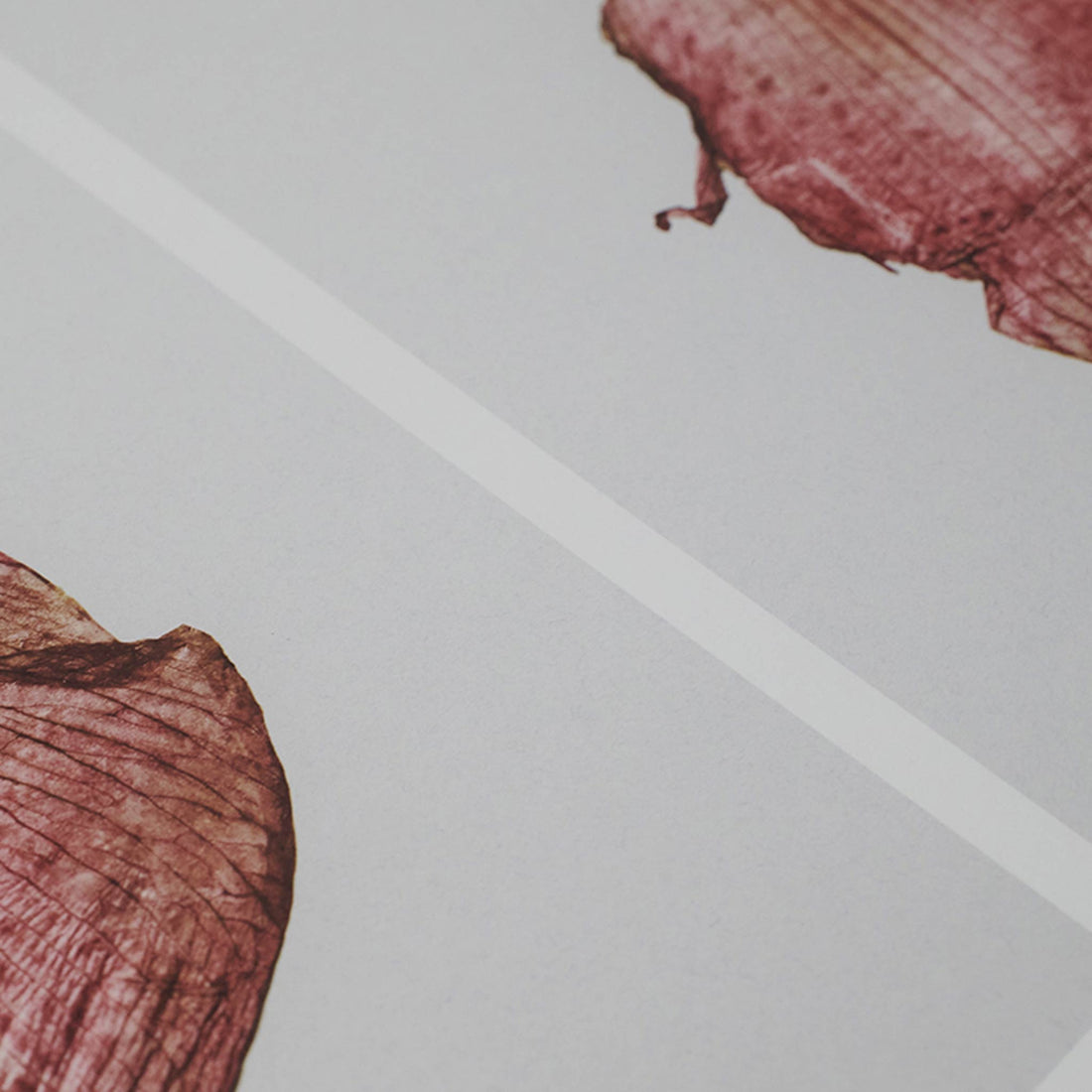 Alium（アリウム）は、デンマーク・コペンハーゲン発のアートとインテリアの融合を目指すポスターブランドかつギャラリーです。2010年代半ばにThe Poster Club創業者トーマスニッセン氏らによって設立され、歴史あるフレデリクスベルク市庁舎横の建物を拠点に、限定アート作品とオブジェを展示・販売しています。カラーや構図にこだわったポスターは、北欧的なスローライフや自然美を背景としつつ、無機質でミニマルな空間にも調和します。クラフトマンシップとデザイン性を重視し、アーティストとの協働によるオリジナリティ溢れる作品を通じて、「暮らしを美と創造性で豊かにする」姿勢を訴求しています。ギャラリーでは巡回展やアートイベントを定期開催し、既成のインテリア領域に留まらない文化的な体験の場を提供。ポスターという商材を媒介にしながらも、生活空間とアート空間の垣根を解き、個々の感性に触発を与えることをミッションとしています。