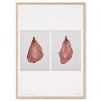 Alium（アリウム）は、デンマーク・コペンハーゲン発のアートとインテリアの融合を目指すポスターブランドかつギャラリーです。2010年代半ばにThe Poster Club創業者トーマスニッセン氏らによって設立され、歴史あるフレデリクスベルク市庁舎横の建物を拠点に、限定アート作品とオブジェを展示・販売しています。カラーや構図にこだわったポスターは、北欧的なスローライフや自然美を背景としつつ、無機質でミニマルな空間にも調和します。クラフトマンシップとデザイン性を重視し、アーティストとの協働によるオリジナリティ溢れる作品を通じて、「暮らしを美と創造性で豊かにする」姿勢を訴求しています。ギャラリーでは巡回展やアートイベントを定期開催し、既成のインテリア領域に留まらない文化的な体験の場を提供。ポスターという商材を媒介にしながらも、生活空間とアート空間の垣根を解き、個々の感性に触発を与えることをミッションとしています。