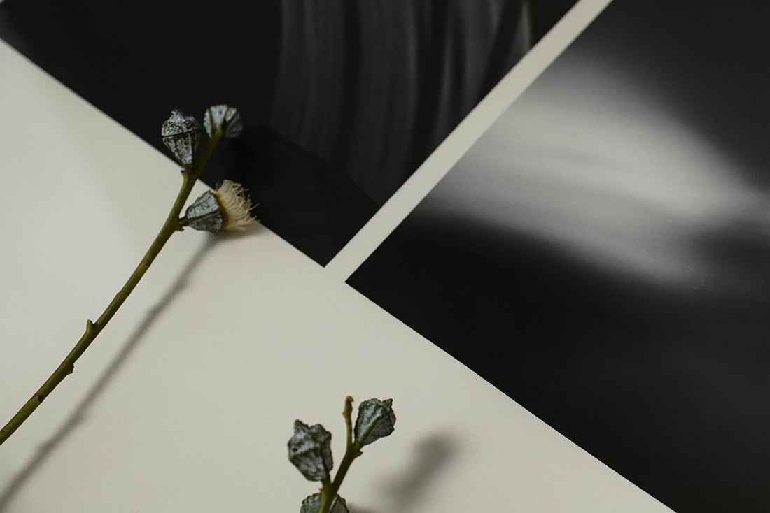 Alium（アリウム）は、デンマーク・コペンハーゲン発のアートとインテリアの融合を目指すポスターブランドかつギャラリーです。2010年代半ばにThe Poster Club創業者トーマスニッセン氏らによって設立され、歴史あるフレデリクスベルク市庁舎横の建物を拠点に、限定アート作品とオブジェを展示・販売しています。カラーや構図にこだわったポスターは、北欧的なスローライフや自然美を背景としつつ、無機質でミニマルな空間にも調和します。クラフトマンシップとデザイン性を重視し、アーティストとの協働によるオリジナリティ溢れる作品を通じて、「暮らしを美と創造性で豊かにする」姿勢を訴求しています。ギャラリーでは巡回展やアートイベントを定期開催し、既成のインテリア領域に留まらない文化的な体験の場を提供。ポスターという商材を媒介にしながらも、生活空間とアート空間の垣根を解き、個々の感性に触発を与えることをミッションとしています。