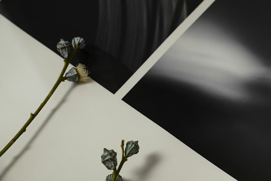 Alium（アリウム）は、デンマーク・コペンハーゲン発のアートとインテリアの融合を目指すポスターブランドかつギャラリーです。2010年代半ばにThe Poster Club創業者トーマスニッセン氏らによって設立され、歴史あるフレデリクスベルク市庁舎横の建物を拠点に、限定アート作品とオブジェを展示・販売しています。カラーや構図にこだわったポスターは、北欧的なスローライフや自然美を背景としつつ、無機質でミニマルな空間にも調和します。クラフトマンシップとデザイン性を重視し、アーティストとの協働によるオリジナリティ溢れる作品を通じて、「暮らしを美と創造性で豊かにする」姿勢を訴求しています。ギャラリーでは巡回展やアートイベントを定期開催し、既成のインテリア領域に留まらない文化的な体験の場を提供。ポスターという商材を媒介にしながらも、生活空間とアート空間の垣根を解き、個々の感性に触発を与えることをミッションとしています。