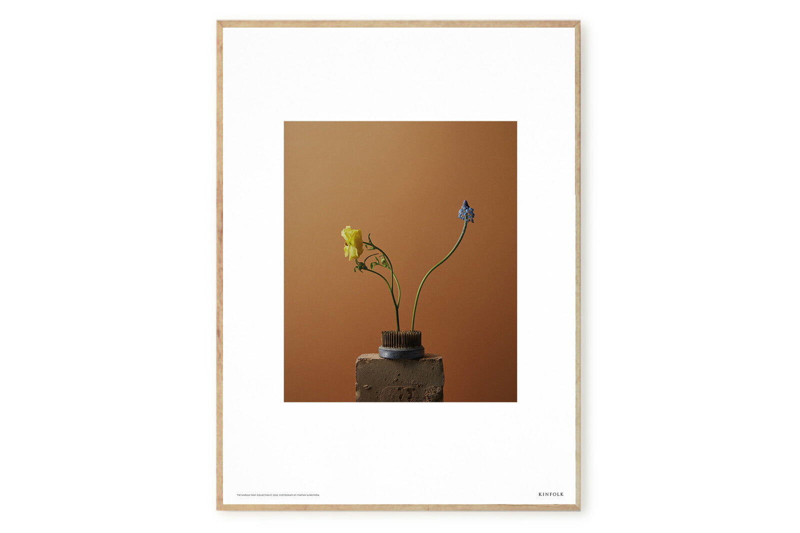 ALIUM × Kinfolk ポスター 50×70cm Podium * Amazon.co.jp: ALIUM アートポスター 50×70cm Podium 絵画