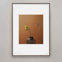 Alium（アリウム）は、デンマーク・コペンハーゲン発のアートとインテリアの融合を目指すポスターブランドかつギャラリーです。2010年代半ばにThe Poster Club創業者トーマスニッセン氏らによって設立され、歴史あるフレデリクスベルク市庁舎横の建物を拠点に、限定アート作品とオブジェを展示・販売しています。カラーや構図にこだわったポスターは、北欧的なスローライフや自然美を背景としつつ、無機質でミニマルな空間にも調和します。クラフトマンシップとデザイン性を重視し、アーティストとの協働によるオリジナリティ溢れる作品を通じて、「暮らしを美と創造性で豊かにする」姿勢を訴求しています。ギャラリーでは巡回展やアートイベントを定期開催し、既成のインテリア領域に留まらない文化的な体験の場を提供。ポスターという商材を媒介にしながらも、生活空間とアート空間の垣根を解き、個々の感性に触発を与えることをミッションとしています。