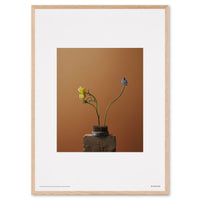 Alium（アリウム）は、デンマーク・コペンハーゲン発のアートとインテリアの融合を目指すポスターブランドかつギャラリーです。2010年代半ばにThe Poster Club創業者トーマスニッセン氏らによって設立され、歴史あるフレデリクスベルク市庁舎横の建物を拠点に、限定アート作品とオブジェを展示・販売しています。カラーや構図にこだわったポスターは、北欧的なスローライフや自然美を背景としつつ、無機質でミニマルな空間にも調和します。クラフトマンシップとデザイン性を重視し、アーティストとの協働によるオリジナリティ溢れる作品を通じて、「暮らしを美と創造性で豊かにする」姿勢を訴求しています。ギャラリーでは巡回展やアートイベントを定期開催し、既成のインテリア領域に留まらない文化的な体験の場を提供。ポスターという商材を媒介にしながらも、生活空間とアート空間の垣根を解き、個々の感性に触発を与えることをミッションとしています。