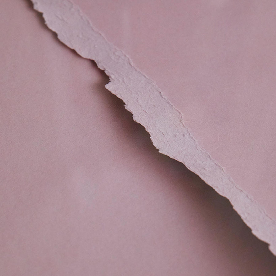 Alium（アリウム）は、デンマーク・コペンハーゲン発のアートとインテリアの融合を目指すポスターブランドかつギャラリーです。2010年代半ばにThe Poster Club創業者トーマスニッセン氏らによって設立され、歴史あるフレデリクスベルク市庁舎横の建物を拠点に、限定アート作品とオブジェを展示・販売しています。カラーや構図にこだわったポスターは、北欧的なスローライフや自然美を背景としつつ、無機質でミニマルな空間にも調和します。クラフトマンシップとデザイン性を重視し、アーティストとの協働によるオリジナリティ溢れる作品を通じて、「暮らしを美と創造性で豊かにする」姿勢を訴求しています。ギャラリーでは巡回展やアートイベントを定期開催し、既成のインテリア領域に留まらない文化的な体験の場を提供。ポスターという商材を媒介にしながらも、生活空間とアート空間の垣根を解き、個々の感性に触発を与えることをミッションとしています。