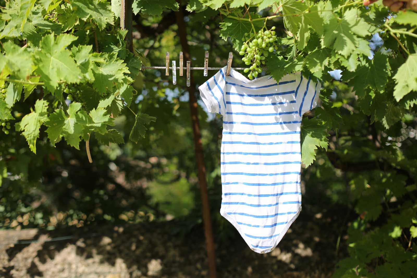 Pinchnox（パシノックス）は、1953年にフランスで誕生した、機能美と耐久性を兼ね備えたステンレス製ピンチの専門ブランドです。その象徴的な製品は、フランス・Aperam社製の単一ステンレス鋼ストリップから成形され、溶接やネジを一切使用せずに完成されるという、高度な加工技術の結晶。精密な圧延・研磨・曲げ加工が施され、卓越した強度と柔軟性を両立しています。プラスチック製や木製のピンチに見られる摩耗や劣化の心配がなく、錆びにくく、屋内外を問わずあらゆる環境で使用可能。エレガントでタイムレスなデザインは、美しさと実用性を見事に両立し、まさに一生ものとして愛用できる逸品です。製造は今も変わらずフランス国内で行われ、熟練職人の手によってひとつひとつ丁寧に仕上げられています。使い捨ての時代に抗い、持続可能な未来を見据えたPinchnoxは、暮らしに寄り添う真の道具です。