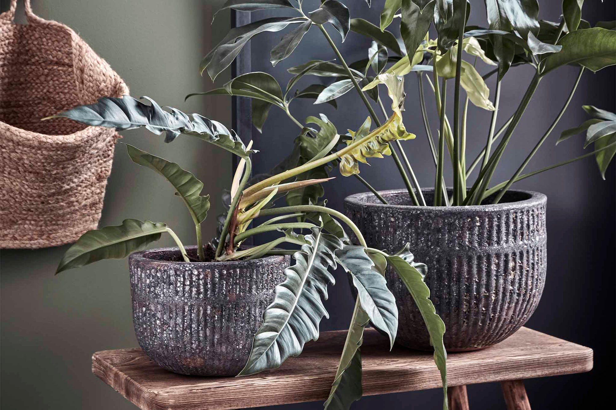 house doctorはデンマークのブランドです。人々が独自の空間を創造するのを刺激し支援したいという願望に基づいて生まれました。ブランドの美学はスカンジナビアンの伝統のデザインに根付いており、そこにインダストリアルなどの要素や世界中からのインスピレーションを加えています。彼らの製品は素材や質感などの細部にこだわったユニークなものだと感じます。