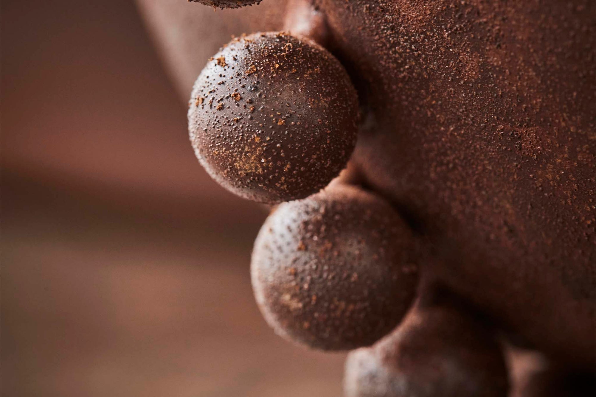 house doctorはデンマークのブランドです。人々が独自の空間を創造するのを刺激し支援したいという願望に基づいて生まれました。ブランドの美学はスカンジナビアンの伝統のデザインに根付いており、そこにインダストリアルなどの要素や世界中からのインスピレーションを加えています。彼らの製品は素材や質感などの細部にこだわったユニークなものだと感じます。