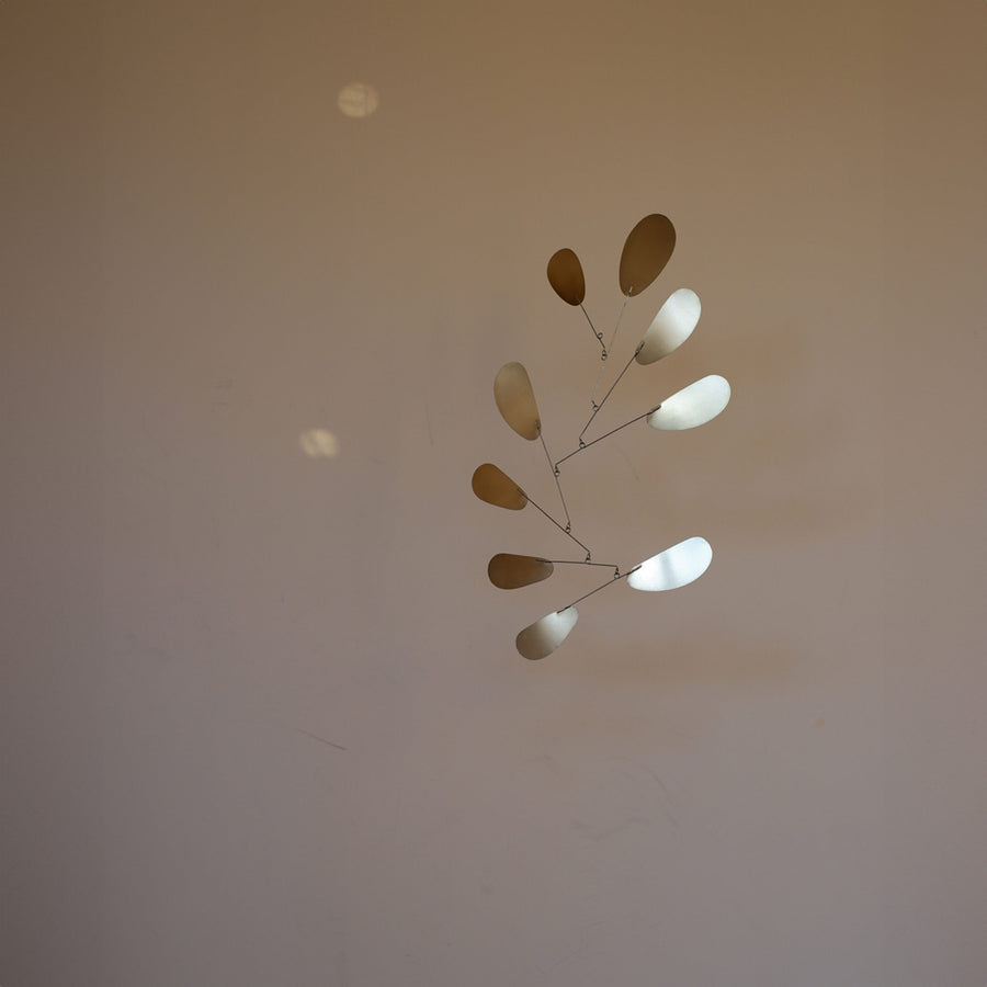 Kinetic Levi（キネティックレヴィ） | 正規品 CHLOROS（クロロス