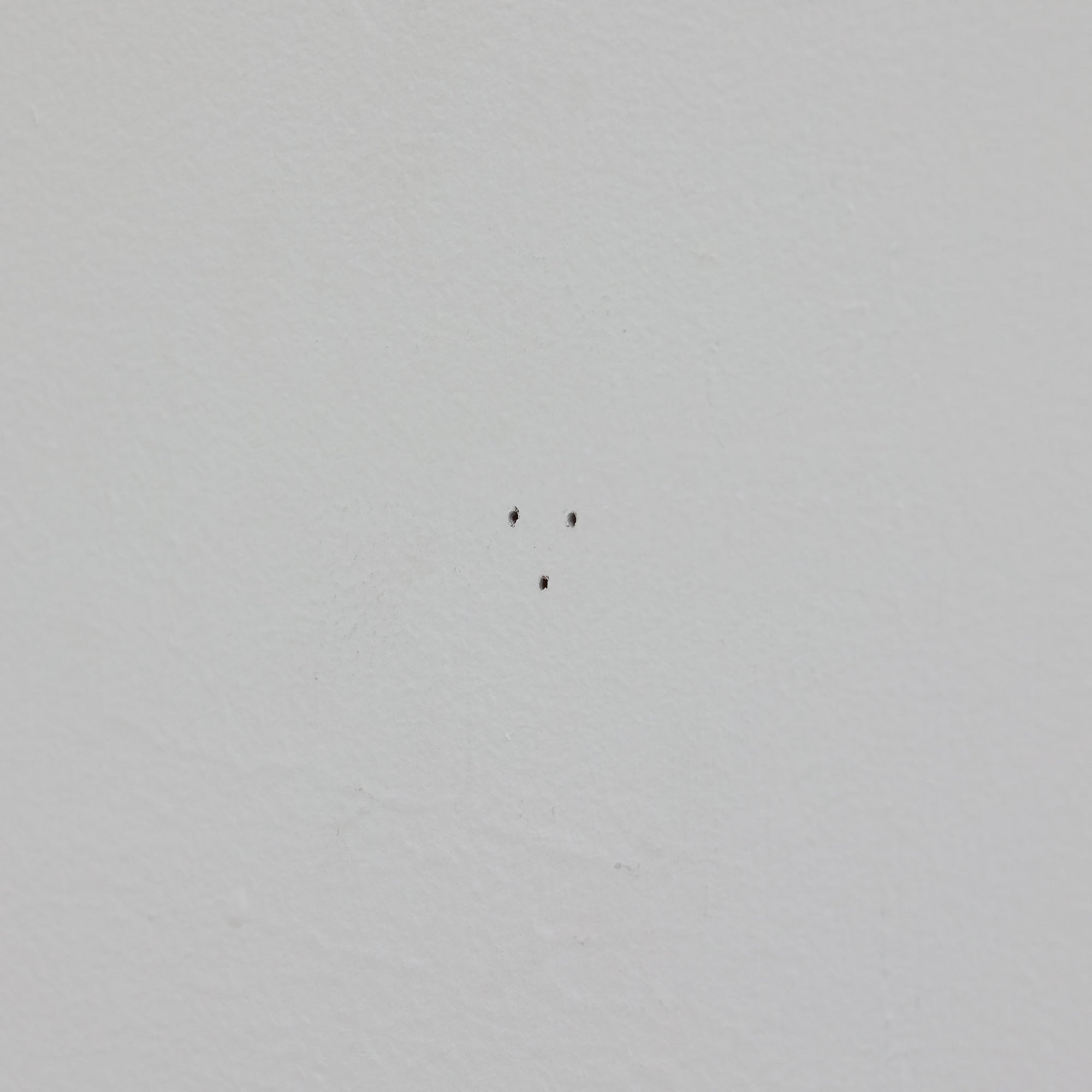 北欧スウェーデンのブランド「BOLD」が開発した、革新的なピクチャーフックです。従来の金属製フックとは異なり、軽量で耐久性の高いプラスチック製を採用。壁へのダメージを最小限に抑えながら、アートや額縁を美しく、確実に掛けることができます。取り付けは驚くほど簡単で、ドリルやアンカーを使わず、付属の細いスチールピンをハンマーで打ち込むだけ。数秒で設置でき、外した跡もほとんど目立ちません。一般的な石こうボードや木壁はもちろん、コンクリート壁にも対応します。素材には柔軟性と高い衝撃吸収性を兼ね備えた熱可塑性プラスチックを採用。フレームをしっかり支えながらも、壁面や釘への負担を軽減します。北欧らしい機能美と合理性を追求したBOLDのピクチャーフックは、壁にアートを飾るという日常の動作を、より簡単でスマートな体験へと変えてくれます。