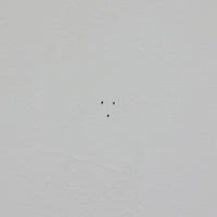 北欧スウェーデンのブランド「BOLD」が開発した、革新的なピクチャーフックです。従来の金属製フックとは異なり、軽量で耐久性の高いプラスチック製を採用。壁へのダメージを最小限に抑えながら、アートや額縁を美しく、確実に掛けることができます。取り付けは驚くほど簡単で、ドリルやアンカーを使わず、付属の細いスチールピンをハンマーで打ち込むだけ。数秒で設置でき、外した跡もほとんど目立ちません。一般的な石こうボードや木壁はもちろん、コンクリート壁にも対応します。素材には柔軟性と高い衝撃吸収性を兼ね備えた熱可塑性プラスチックを採用。フレームをしっかり支えながらも、壁面や釘への負担を軽減します。北欧らしい機能美と合理性を追求したBOLDのピクチャーフックは、壁にアートを飾るという日常の動作を、より簡単でスマートな体験へと変えてくれます。