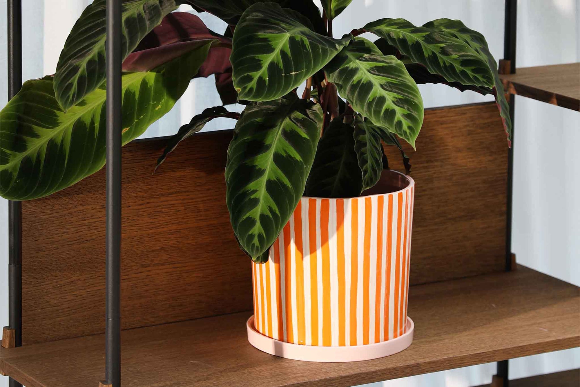 オランダ・アムステルダム発のインテリアブランド&Klevering（アンド・クレベリング）は、1992年の創業以来、「デザインを最優先に」という理念のもと、カラフルで個性的なホームアクセサリーを展開しています。アムステルダムらしいオリジナリティを大切にし、どんな空間にも調和しながらも印象的な存在感を放つデザインが魅力です。&Kleveringのアイテムは、自宅用としてはもちろん、贈り物にも最適です。コレクションはすべてチームで丁寧に作り上げられ、現代アートやヴィンテージスタイルからインスピレーションを受けたユニークでタイムレスなデザインを追求しています。また、「Buro Berger」というブランド名でも著名なアーティストとのコラボレーションを行い、革新性と伝統を両立しながら、常に新しい驚きを届けています。