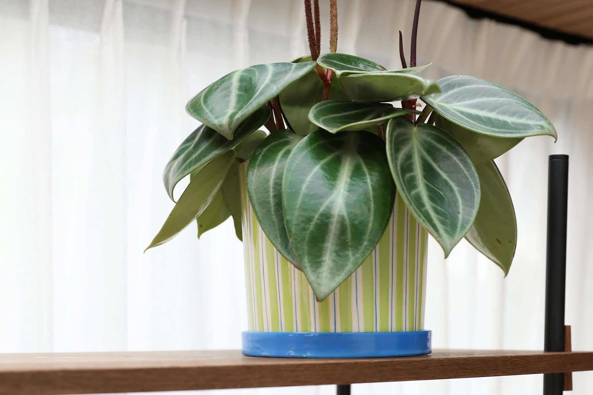 オランダ・アムステルダム発のインテリアブランド&Klevering（アンド・クレベリング）は、1992年の創業以来、「デザインを最優先に」という理念のもと、カラフルで個性的なホームアクセサリーを展開しています。アムステルダムらしいオリジナリティを大切にし、どんな空間にも調和しながらも印象的な存在感を放つデザインが魅力です。&Kleveringのアイテムは、自宅用としてはもちろん、贈り物にも最適です。コレクションはすべてチームで丁寧に作り上げられ、現代アートやヴィンテージスタイルからインスピレーションを受けたユニークでタイムレスなデザインを追求しています。また、「Buro Berger」というブランド名でも著名なアーティストとのコラボレーションを行い、革新性と伝統を両立しながら、常に新しい驚きを届けています。