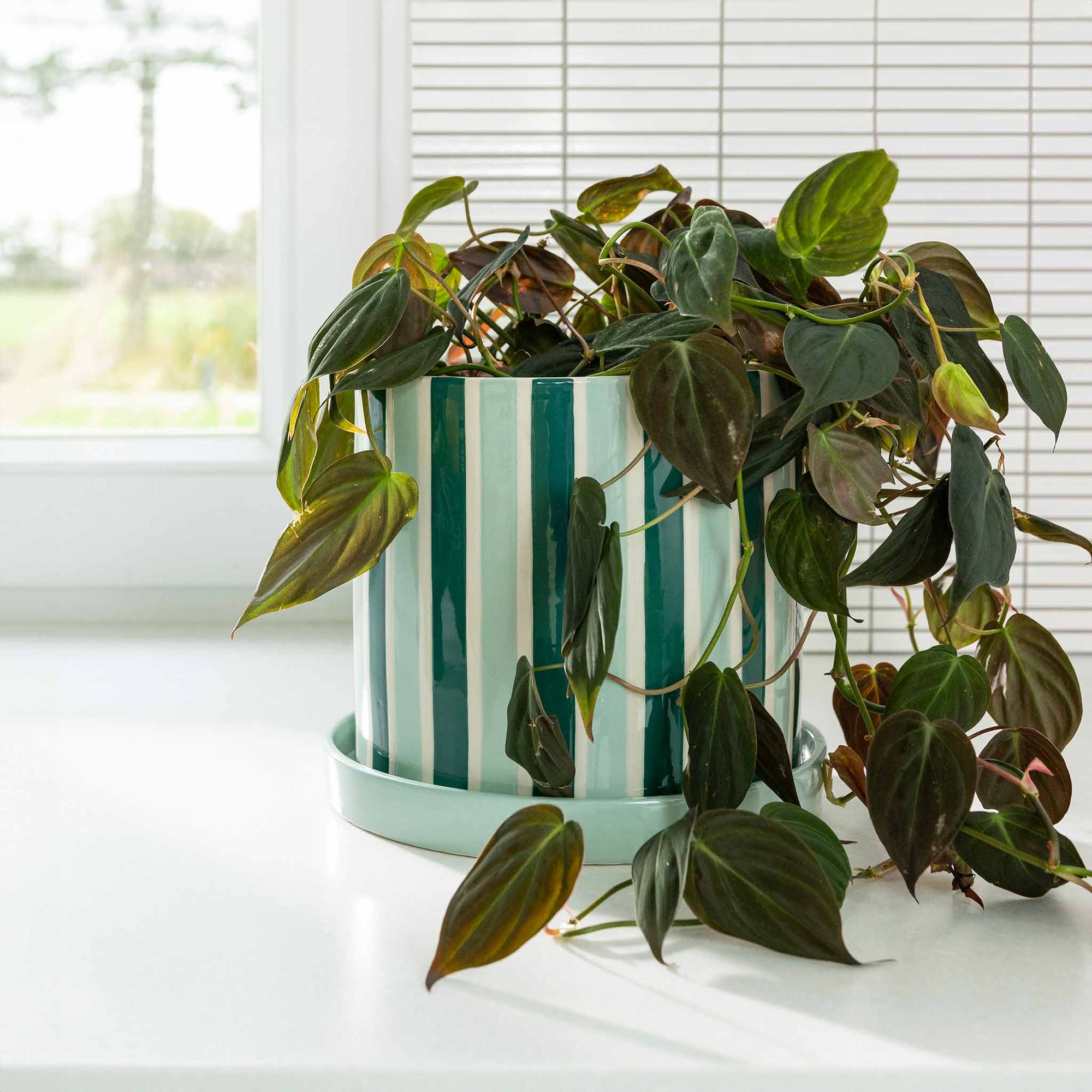 オランダ・アムステルダム発のインテリアブランド&Klevering（アンド・クレベリング）は、1992年の創業以来、「デザインを最優先に」という理念のもと、カラフルで個性的なホームアクセサリーを展開しています。アムステルダムらしいオリジナリティを大切にし、どんな空間にも調和しながらも印象的な存在感を放つデザインが魅力です。&Kleveringのアイテムは、自宅用としてはもちろん、贈り物にも最適です。コレクションはすべてチームで丁寧に作り上げられ、現代アートやヴィンテージスタイルからインスピレーションを受けたユニークでタイムレスなデザインを追求しています。また、「Buro Berger」というブランド名でも著名なアーティストとのコラボレーションを行い、革新性と伝統を両立しながら、常に新しい驚きを届けています。