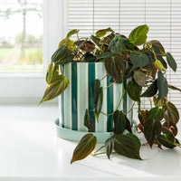 オランダ・アムステルダム発のインテリアブランド&Klevering（アンド・クレベリング）は、1992年の創業以来、「デザインを最優先に」という理念のもと、カラフルで個性的なホームアクセサリーを展開しています。アムステルダムらしいオリジナリティを大切にし、どんな空間にも調和しながらも印象的な存在感を放つデザインが魅力です。&Kleveringのアイテムは、自宅用としてはもちろん、贈り物にも最適です。コレクションはすべてチームで丁寧に作り上げられ、現代アートやヴィンテージスタイルからインスピレーションを受けたユニークでタイムレスなデザインを追求しています。また、「Buro Berger」というブランド名でも著名なアーティストとのコラボレーションを行い、革新性と伝統を両立しながら、常に新しい驚きを届けています。