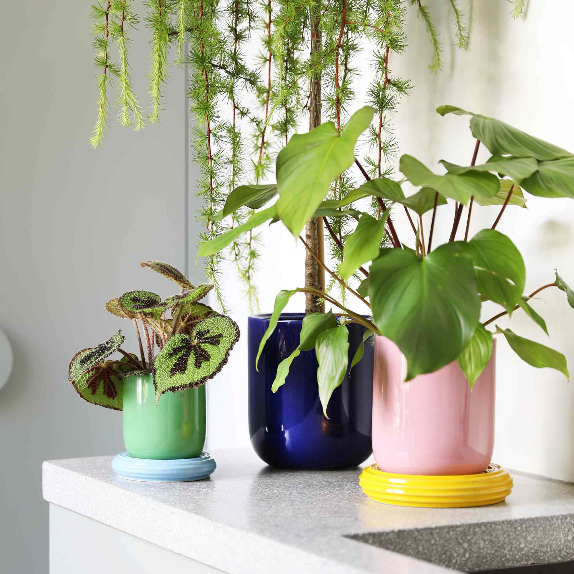 オランダ・アムステルダム発のインテリアブランド&amp;Klevering（アンド・クレベリング）は、1992年の創業以来、「デザインを最優先に」という理念のもと、カラフルで個性的なホームアクセサリーを展開しています。アムステルダムらしいオリジナリティを大切にし、どんな空間にも調和しながらも印象的な存在感を放つデザインが魅力です。&amp;Kleveringのアイテムは、自宅用としてはもちろん、贈り物にも最適です。コレクションはすべてチームで丁寧に作り上げられ、現代アートやヴィンテージスタイルからインスピレーションを受けたユニークでタイムレスなデザインを追求しています。また、「Buro Berger」というブランド名でも著名なアーティストとのコラボレーションを行い、革新性と伝統を両立しながら、常に新しい驚きを届けています。