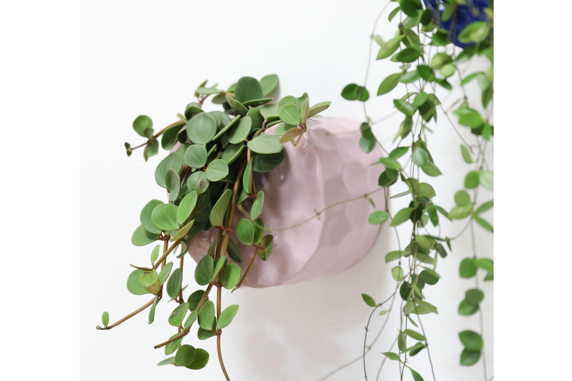 オランダ・アムステルダム発のインテリアブランド&amp;Klevering（アンド・クレベリング）は、1992年の創業以来、「デザインを最優先に」という理念のもと、カラフルで個性的なホームアクセサリーを展開しています。アムステルダムらしいオリジナリティを大切にし、どんな空間にも調和しながらも印象的な存在感を放つデザインが魅力です。&amp;Kleveringのアイテムは、自宅用としてはもちろん、贈り物にも最適です。コレクションはすべてチームで丁寧に作り上げられ、現代アートやヴィンテージスタイルからインスピレーションを受けたユニークでタイムレスなデザインを追求しています。また、「Buro Berger」というブランド名でも著名なアーティストとのコラボレーションを行い、革新性と伝統を両立しながら、常に新しい驚きを届けています。