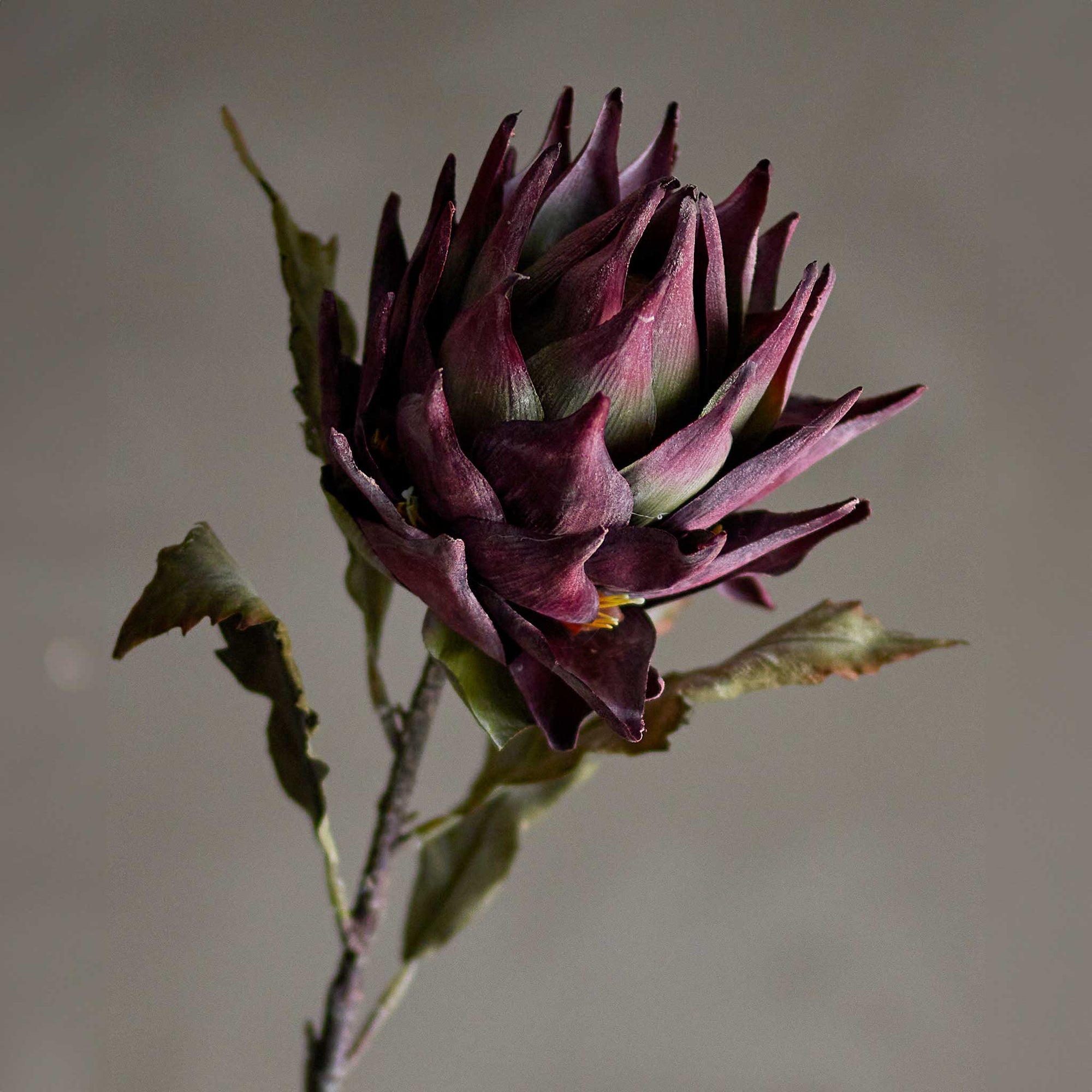 Bloomingville（ブルーミングヴィル）は2000年にデンマークで誕生した北欧インテリアブランドです。創業者ベティーナ・スタメのもと、北欧デザインの伝統に現代的な感性を融合させた製品を展開し、シンプルで温かみのあるライフスタイルを提案しています。ナチュラルな素材や落ち着いた色合いが特徴で、リビングやキッチン、バスルーム、子供部屋などさまざまな空間に自然に調和し、心地よさをもたらします。テーブルウェア、北欧雑貨、キッズアイテムまで幅広く揃え、使いやすさと美しさを兼ね備えたデザインで暮らしを彩ります。「小さな変化で大きな幸せを」というコンセプトのもと、手の届く価格で上質な北欧スタイルを日常に取り入れることができるのも魅力です。ナチュラルインテリアやシンプルモダンな空間づくりに関心のある方に最適なブランドとして、Bloomingvilleはヨーロッパを中心に世界中で高く評価されています。