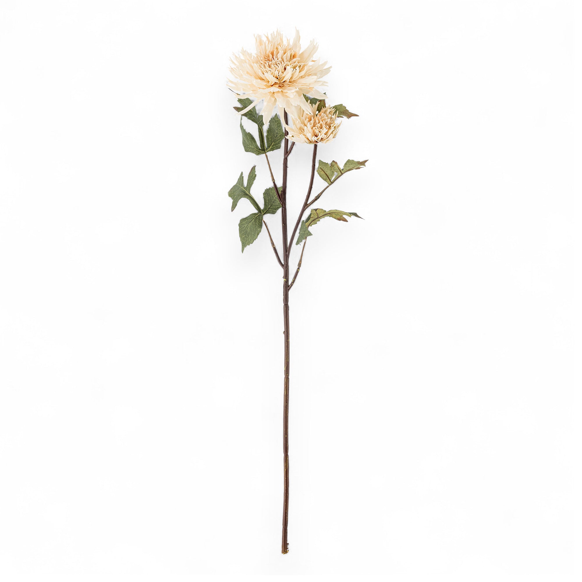 Bloomingville（ブルーミングヴィル）は2000年にデンマークで誕生した北欧インテリアブランドです。創業者ベティーナ・スタメのもと、北欧デザインの伝統に現代的な感性を融合させた製品を展開し、シンプルで温かみのあるライフスタイルを提案しています。ナチュラルな素材や落ち着いた色合いが特徴で、リビングやキッチン、バスルーム、子供部屋などさまざまな空間に自然に調和し、心地よさをもたらします。テーブルウェア、北欧雑貨、キッズアイテムまで幅広く揃え、使いやすさと美しさを兼ね備えたデザインで暮らしを彩ります。「小さな変化で大きな幸せを」というコンセプトのもと、手の届く価格で上質な北欧スタイルを日常に取り入れることができるのも魅力です。ナチュラルインテリアやシンプルモダンな空間づくりに関心のある方に最適なブランドとして、Bloomingvilleはヨーロッパを中心に世界中で高く評価されています。