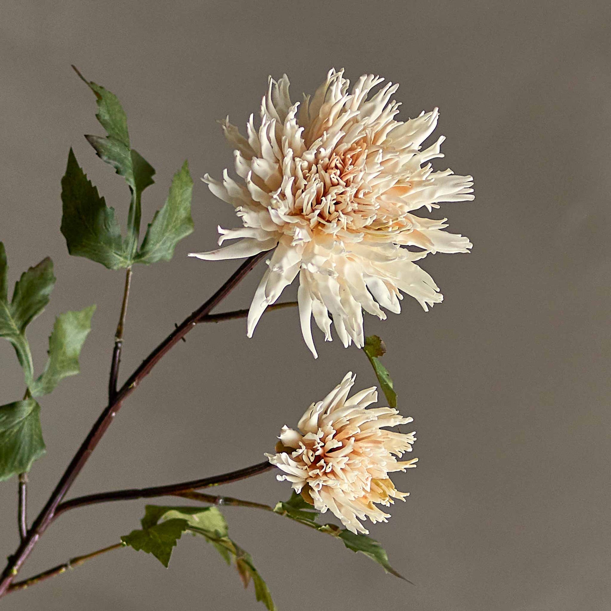 Bloomingville（ブルーミングヴィル）は2000年にデンマークで誕生した北欧インテリアブランドです。創業者ベティーナ・スタメのもと、北欧デザインの伝統に現代的な感性を融合させた製品を展開し、シンプルで温かみのあるライフスタイルを提案しています。ナチュラルな素材や落ち着いた色合いが特徴で、リビングやキッチン、バスルーム、子供部屋などさまざまな空間に自然に調和し、心地よさをもたらします。テーブルウェア、北欧雑貨、キッズアイテムまで幅広く揃え、使いやすさと美しさを兼ね備えたデザインで暮らしを彩ります。「小さな変化で大きな幸せを」というコンセプトのもと、手の届く価格で上質な北欧スタイルを日常に取り入れることができるのも魅力です。ナチュラルインテリアやシンプルモダンな空間づくりに関心のある方に最適なブランドとして、Bloomingvilleはヨーロッパを中心に世界中で高く評価されています。