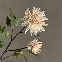 Bloomingville（ブルーミングヴィル）は2000年にデンマークで誕生した北欧インテリアブランドです。創業者ベティーナ・スタメのもと、北欧デザインの伝統に現代的な感性を融合させた製品を展開し、シンプルで温かみのあるライフスタイルを提案しています。ナチュラルな素材や落ち着いた色合いが特徴で、リビングやキッチン、バスルーム、子供部屋などさまざまな空間に自然に調和し、心地よさをもたらします。テーブルウェア、北欧雑貨、キッズアイテムまで幅広く揃え、使いやすさと美しさを兼ね備えたデザインで暮らしを彩ります。「小さな変化で大きな幸せを」というコンセプトのもと、手の届く価格で上質な北欧スタイルを日常に取り入れることができるのも魅力です。ナチュラルインテリアやシンプルモダンな空間づくりに関心のある方に最適なブランドとして、Bloomingvilleはヨーロッパを中心に世界中で高く評価されています。