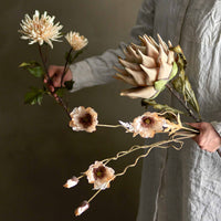 Bloomingville（ブルーミングヴィル）は2000年にデンマークで誕生した北欧インテリアブランドです。創業者ベティーナ・スタメのもと、北欧デザインの伝統に現代的な感性を融合させた製品を展開し、シンプルで温かみのあるライフスタイルを提案しています。ナチュラルな素材や落ち着いた色合いが特徴で、リビングやキッチン、バスルーム、子供部屋などさまざまな空間に自然に調和し、心地よさをもたらします。テーブルウェア、北欧雑貨、キッズアイテムまで幅広く揃え、使いやすさと美しさを兼ね備えたデザインで暮らしを彩ります。「小さな変化で大きな幸せを」というコンセプトのもと、手の届く価格で上質な北欧スタイルを日常に取り入れることができるのも魅力です。ナチュラルインテリアやシンプルモダンな空間づくりに関心のある方に最適なブランドとして、Bloomingvilleはヨーロッパを中心に世界中で高く評価されています。