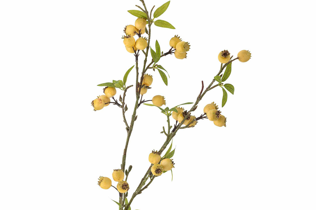 Bloomingvilleは、2000年にデンマークで設立されました。たった2名でスタートした会社は今ではヨーロッパ内40名を超える従業員と、40を超える代理店にまで成長しました。Bloomingvilleの空想的なデザインの製品は全て会社の専属デザイナーによって開発されています。フランスのブロカントに影響を受け、ノスタルジックなスカンジナビアデザインと最新のデザインを融合させたユニークなデザインに仕上がっています。 
