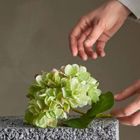 Bloomingville（ブルーミングヴィル）は2000年にデンマークで誕生した北欧インテリアブランドです。創業者ベティーナ・スタメのもと、北欧デザインの伝統に現代的な感性を融合させた製品を展開し、シンプルで温かみのあるライフスタイルを提案しています。ナチュラルな素材や落ち着いた色合いが特徴で、リビングやキッチン、バスルーム、子供部屋などさまざまな空間に自然に調和し、心地よさをもたらします。テーブルウェア、北欧雑貨、キッズアイテムまで幅広く揃え、使いやすさと美しさを兼ね備えたデザインで暮らしを彩ります。「小さな変化で大きな幸せを」というコンセプトのもと、手の届く価格で上質な北欧スタイルを日常に取り入れることができるのも魅力です。ナチュラルインテリアやシンプルモダンな空間づくりに関心のある方に最適なブランドとして、Bloomingvilleはヨーロッパを中心に世界中で高く評価されています。