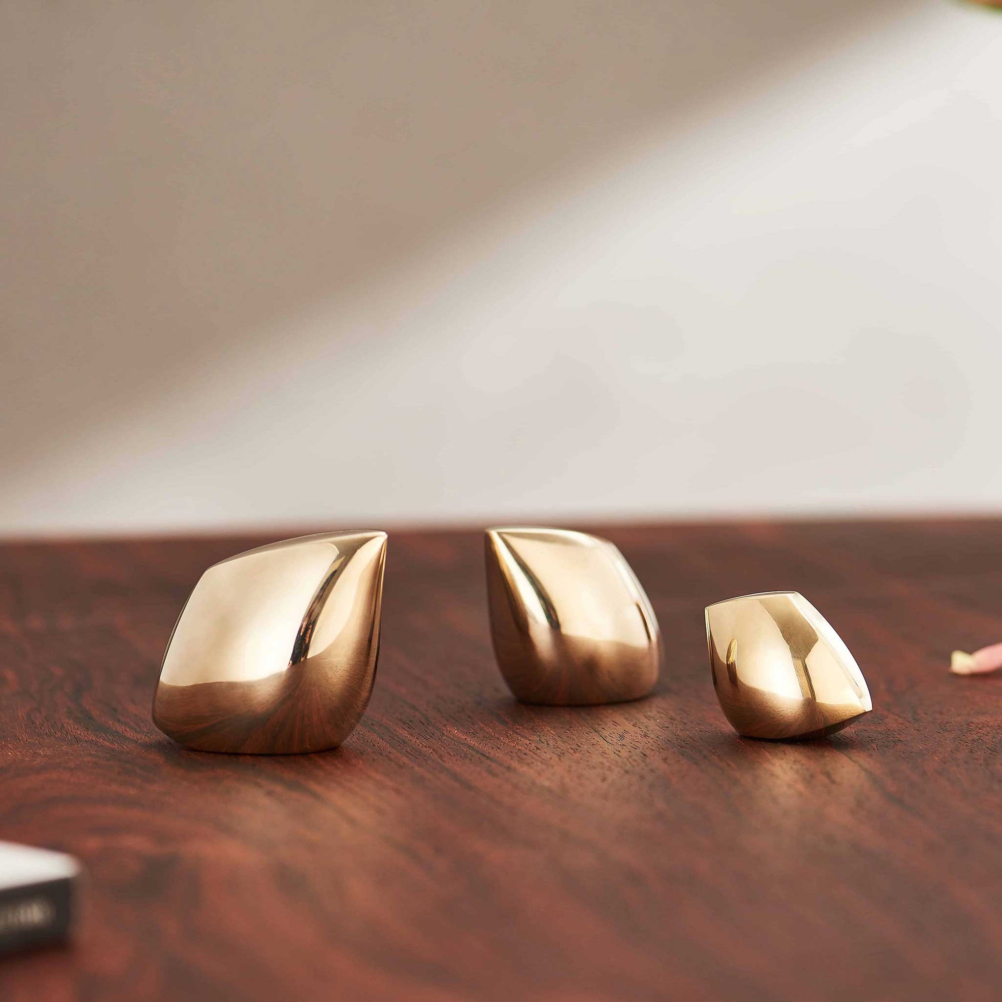 アヴェスはオランダ人建築家のコー・デールによって創られました。彼は鳥をモチーフにその本質を描き出す事に情熱を傾け、納得のいくフォルムに到達するまで生涯を通してシンプルなラインで表現する事に努めました。永遠に変わる事のない本質を形にする事で、時の移ろいに流されないデザインが生まれたのです。アヴェスには3つのサイズがあり、それぞれに異なる表情を持っています。それはごく普通に見える物事にも何かしら特別なものがあるという彼の主張を際立たせているように思われます。