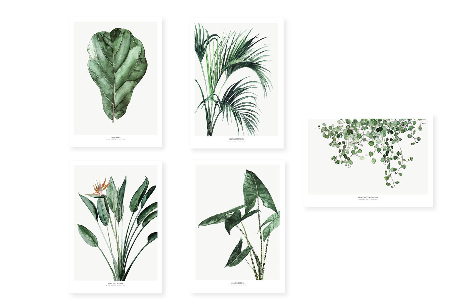 My Deer Art Shopは、「日常に、ほんの少しの物語を。」をコンセプトに、アートの持つ癒しと温もりを暮らしに届けるブランドです。愛らしい動物たちや幻想的な風景、心に残る言葉をモチーフに、イラストレーションやアートポスター、雑貨を展開。特に“鹿（Deer）”をブランドの象徴とし、静かで優しい世界観を大切にしています。ブランドの始まりは、自然と動物、そして小さな物語を描き続けてきたひとりのイラストレーターのアトリエでした。自身の描く作品が、見る人の心をそっと癒し、時には励ましになることを知り、2020年にMy Deer Art Shopとしてオンラインショップを立ち上げました。手に取った人が、作品に込められた物語やぬくもりを感じられるよう、一点一点に心を込めて制作しています。