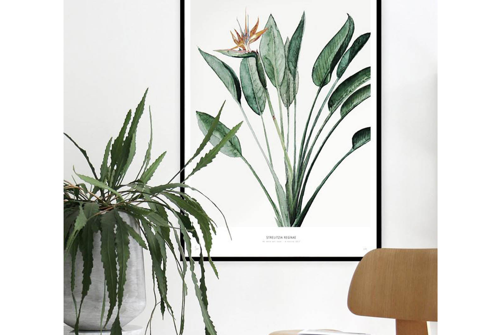 My Deer Art Shopは、「日常に、ほんの少しの物語を。」をコンセプトに、アートの持つ癒しと温もりを暮らしに届けるブランドです。愛らしい動物たちや幻想的な風景、心に残る言葉をモチーフに、イラストレーションやアートポスター、雑貨を展開。特に“鹿（Deer）”をブランドの象徴とし、静かで優しい世界観を大切にしています。ブランドの始まりは、自然と動物、そして小さな物語を描き続けてきたひとりのイラストレーターのアトリエでした。自身の描く作品が、見る人の心をそっと癒し、時には励ましになることを知り、2020年にMy Deer Art Shopとしてオンラインショップを立ち上げました。手に取った人が、作品に込められた物語やぬくもりを感じられるよう、一点一点に心を込めて制作しています。