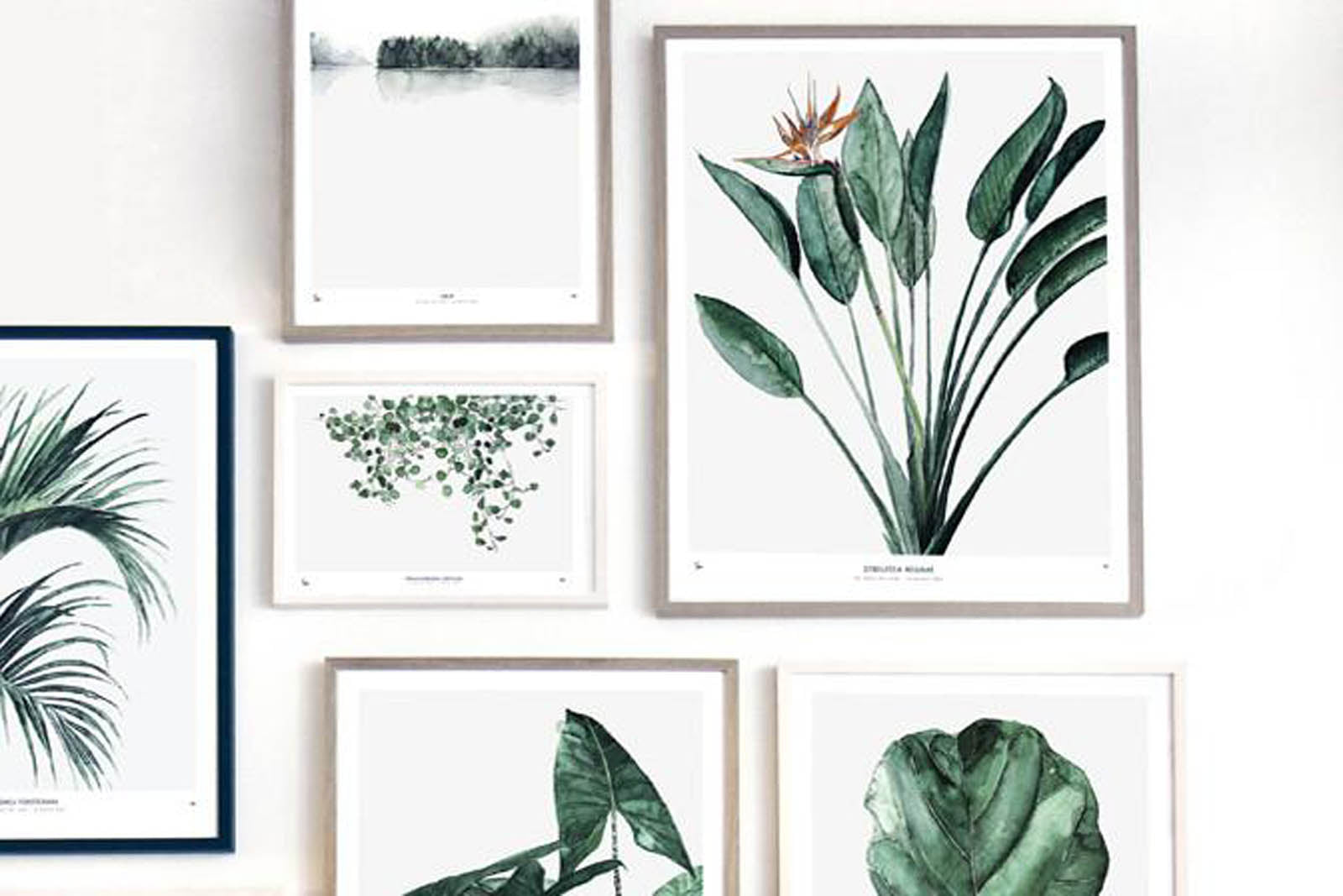 My Deer Art Shopは、「日常に、ほんの少しの物語を。」をコンセプトに、アートの持つ癒しと温もりを暮らしに届けるブランドです。愛らしい動物たちや幻想的な風景、心に残る言葉をモチーフに、イラストレーションやアートポスター、雑貨を展開。特に“鹿（Deer）”をブランドの象徴とし、静かで優しい世界観を大切にしています。ブランドの始まりは、自然と動物、そして小さな物語を描き続けてきたひとりのイラストレーターのアトリエでした。自身の描く作品が、見る人の心をそっと癒し、時には励ましになることを知り、2020年にMy Deer Art Shopとしてオンラインショップを立ち上げました。手に取った人が、作品に込められた物語やぬくもりを感じられるよう、一点一点に心を込めて制作しています。