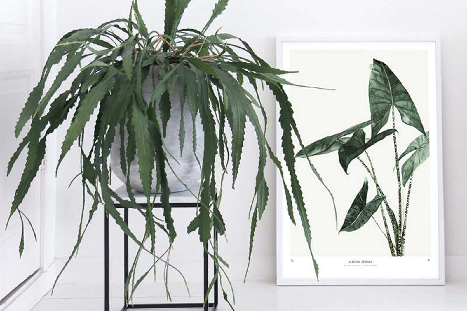 My Deer Art Shopは、「日常に、ほんの少しの物語を。」をコンセプトに、アートの持つ癒しと温もりを暮らしに届けるブランドです。愛らしい動物たちや幻想的な風景、心に残る言葉をモチーフに、イラストレーションやアートポスター、雑貨を展開。特に“鹿（Deer）”をブランドの象徴とし、静かで優しい世界観を大切にしています。ブランドの始まりは、自然と動物、そして小さな物語を描き続けてきたひとりのイラストレーターのアトリエでした。自身の描く作品が、見る人の心をそっと癒し、時には励ましになることを知り、2020年にMy Deer Art Shopとしてオンラインショップを立ち上げました。手に取った人が、作品に込められた物語やぬくもりを感じられるよう、一点一点に心を込めて制作しています。