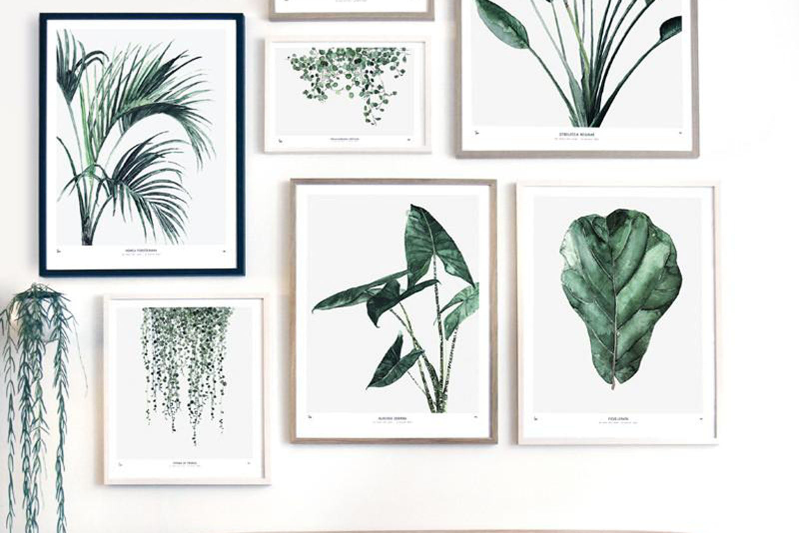 My Deer Art Shopは、「日常に、ほんの少しの物語を。」をコンセプトに、アートの持つ癒しと温もりを暮らしに届けるブランドです。愛らしい動物たちや幻想的な風景、心に残る言葉をモチーフに、イラストレーションやアートポスター、雑貨を展開。特に“鹿（Deer）”をブランドの象徴とし、静かで優しい世界観を大切にしています。ブランドの始まりは、自然と動物、そして小さな物語を描き続けてきたひとりのイラストレーターのアトリエでした。自身の描く作品が、見る人の心をそっと癒し、時には励ましになることを知り、2020年にMy Deer Art Shopとしてオンラインショップを立ち上げました。手に取った人が、作品に込められた物語やぬくもりを感じられるよう、一点一点に心を込めて制作しています。