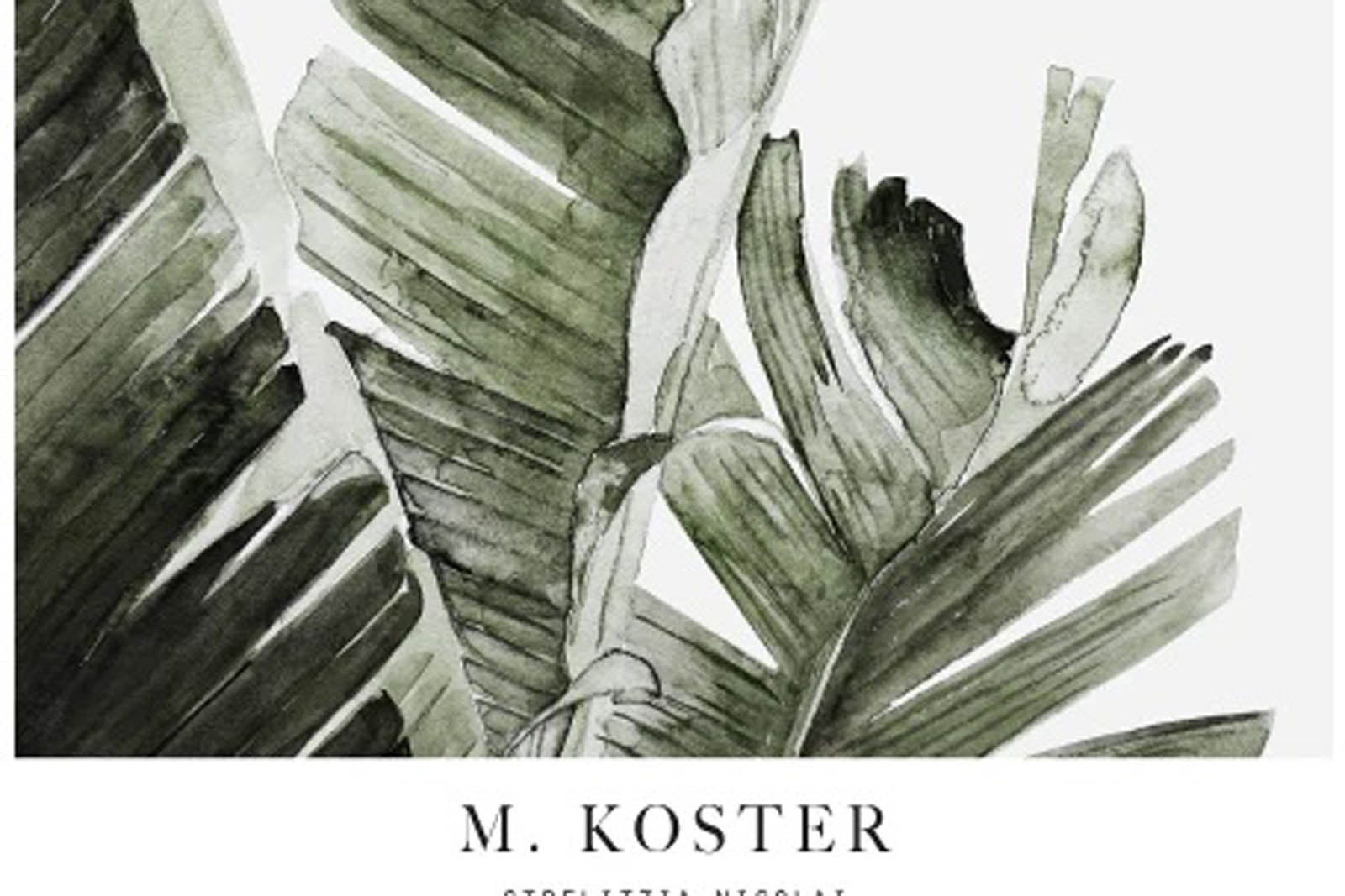 My Deer Art Shopは、「日常に、ほんの少しの物語を。」をコンセプトに、アートの持つ癒しと温もりを暮らしに届けるブランドです。愛らしい動物たちや幻想的な風景、心に残る言葉をモチーフに、イラストレーションやアートポスター、雑貨を展開。特に“鹿（Deer）”をブランドの象徴とし、静かで優しい世界観を大切にしています。ブランドの始まりは、自然と動物、そして小さな物語を描き続けてきたひとりのイラストレーターのアトリエでした。自身の描く作品が、見る人の心をそっと癒し、時には励ましになることを知り、2020年にMy Deer Art Shopとしてオンラインショップを立ち上げました。手に取った人が、作品に込められた物語やぬくもりを感じられるよう、一点一点に心を込めて制作しています。