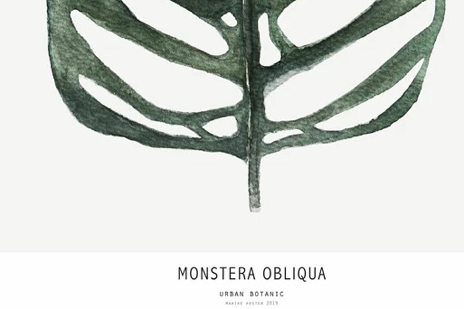 My Deer Art Shopは、「日常に、ほんの少しの物語を。」をコンセプトに、アートの持つ癒しと温もりを暮らしに届けるブランドです。愛らしい動物たちや幻想的な風景、心に残る言葉をモチーフに、イラストレーションやアートポスター、雑貨を展開。特に“鹿（Deer）”をブランドの象徴とし、静かで優しい世界観を大切にしています。ブランドの始まりは、自然と動物、そして小さな物語を描き続けてきたひとりのイラストレーターのアトリエでした。自身の描く作品が、見る人の心をそっと癒し、時には励ましになることを知り、2020年にMy Deer Art Shopとしてオンラインショップを立ち上げました。手に取った人が、作品に込められた物語やぬくもりを感じられるよう、一点一点に心を込めて制作しています。