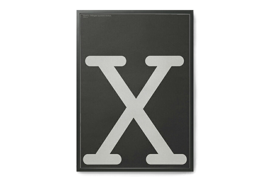PLAYTYPE ポスター GREY g 70×100cm|《公式》北欧生地と雑貨の