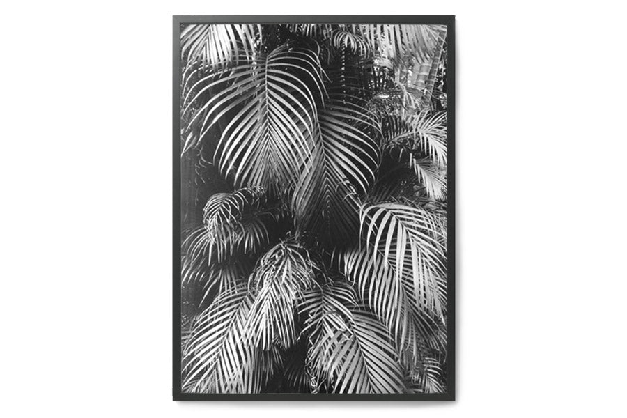 「CocoLapineDesign」はベルギーの女性デザイナー2人によって立ち上げられたブランドです。インテリアデザインに強い情熱を持った彼女達の世界観が表現されたアートプリントは、ヴィンテージやクラシックインテリアなどにも合う落ち着いた深みのある色合いです。