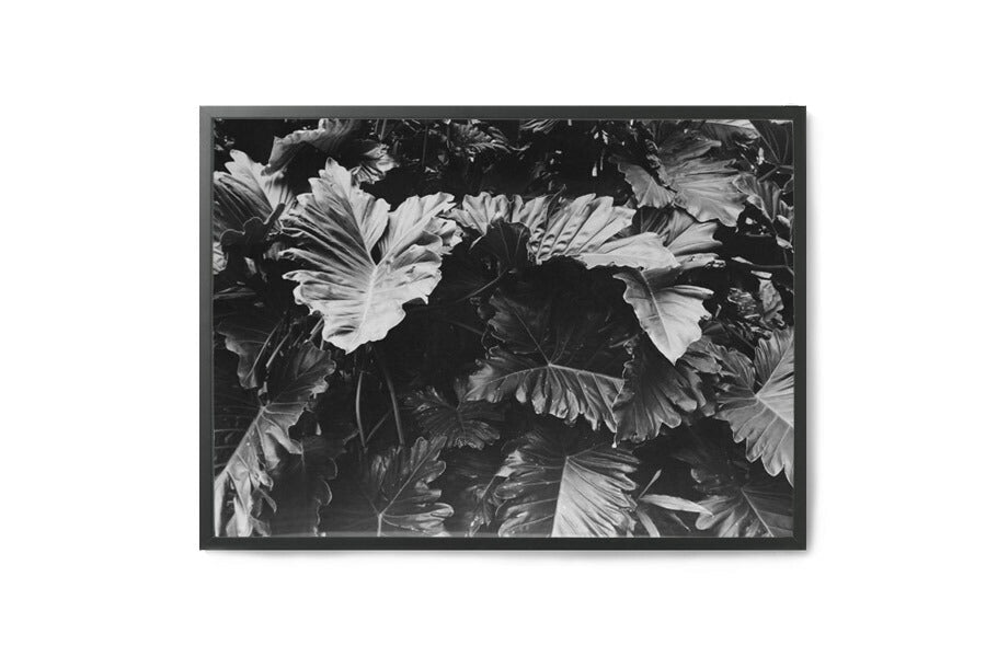 「CocoLapineDesign」はベルギーの女性デザイナー2人によって立ち上げられたブランドです。インテリアデザインに強い情熱を持った彼女達の世界観が表現されたアートプリントは、ヴィンテージやクラシックインテリアなどにも合う落ち着いた深みのある色合いです。