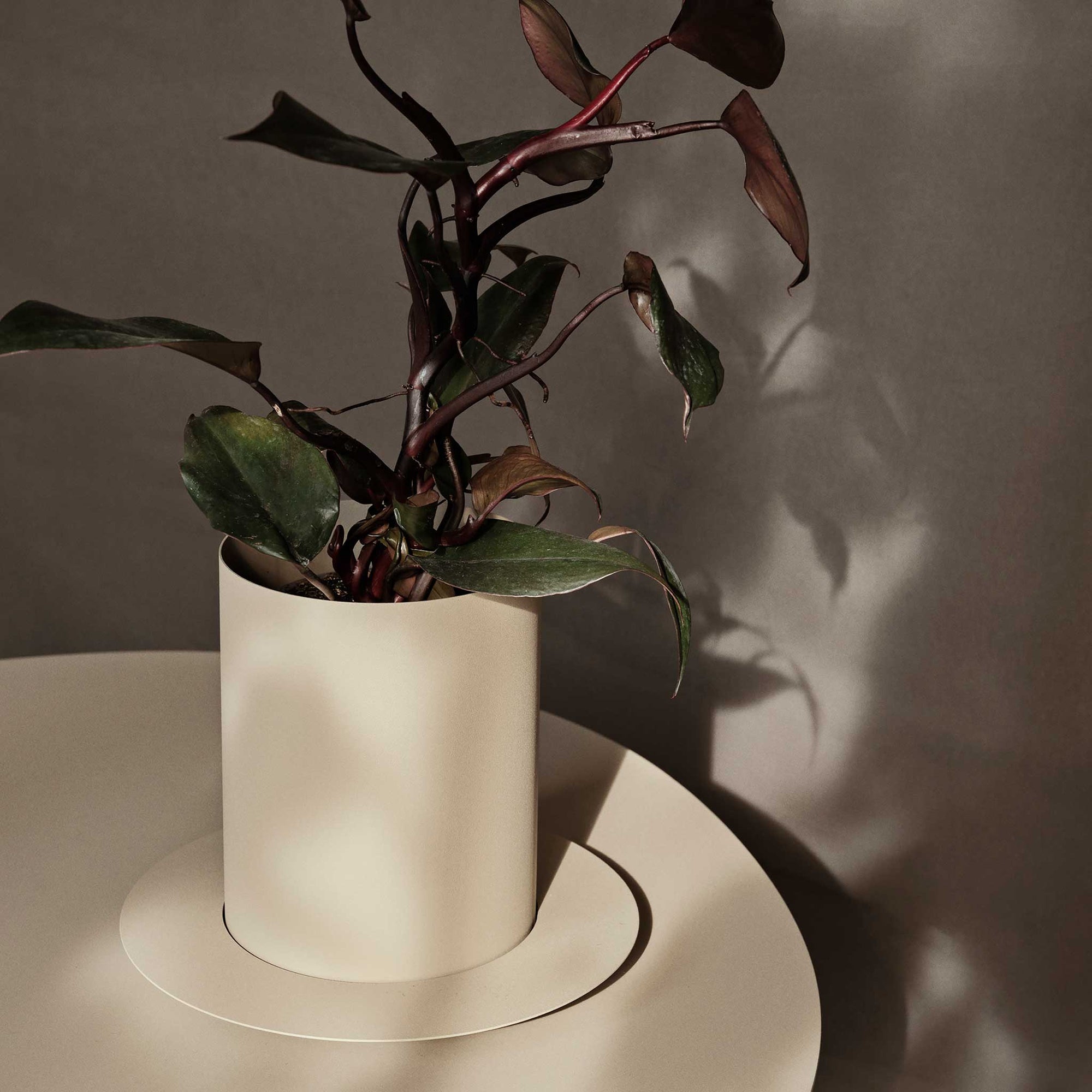 Ferm Living（ファームリビング）は、人生の対比を意識しながら、期待や夢の中で快適さと意味を追い求め、真の価値を感じられる空間を提供することを目指しています。デザインへの情熱と、環境や社会に配慮した責任ある選択を大切にし、誠実で心地よい製品や環境づくりに取り組んでいます。デンマーク・コペンハーゲンを拠点に、世界中の職人と協働し、スカンジナビアの思想と世界の技術・伝統を融合。柔らかなフォルムや豊かなテクスチャー、意外性のあるディテールを特徴とするコレクションは、洗練された美しさの中にも驚きと温かみをもたらします。素材選びから製造、配送まで持続可能性を意識し、より良い未来へ向けた選択を後押しします。家具、アクセサリー、照明を通じて、あなたらしく心地よい空間づくりをサポートします。