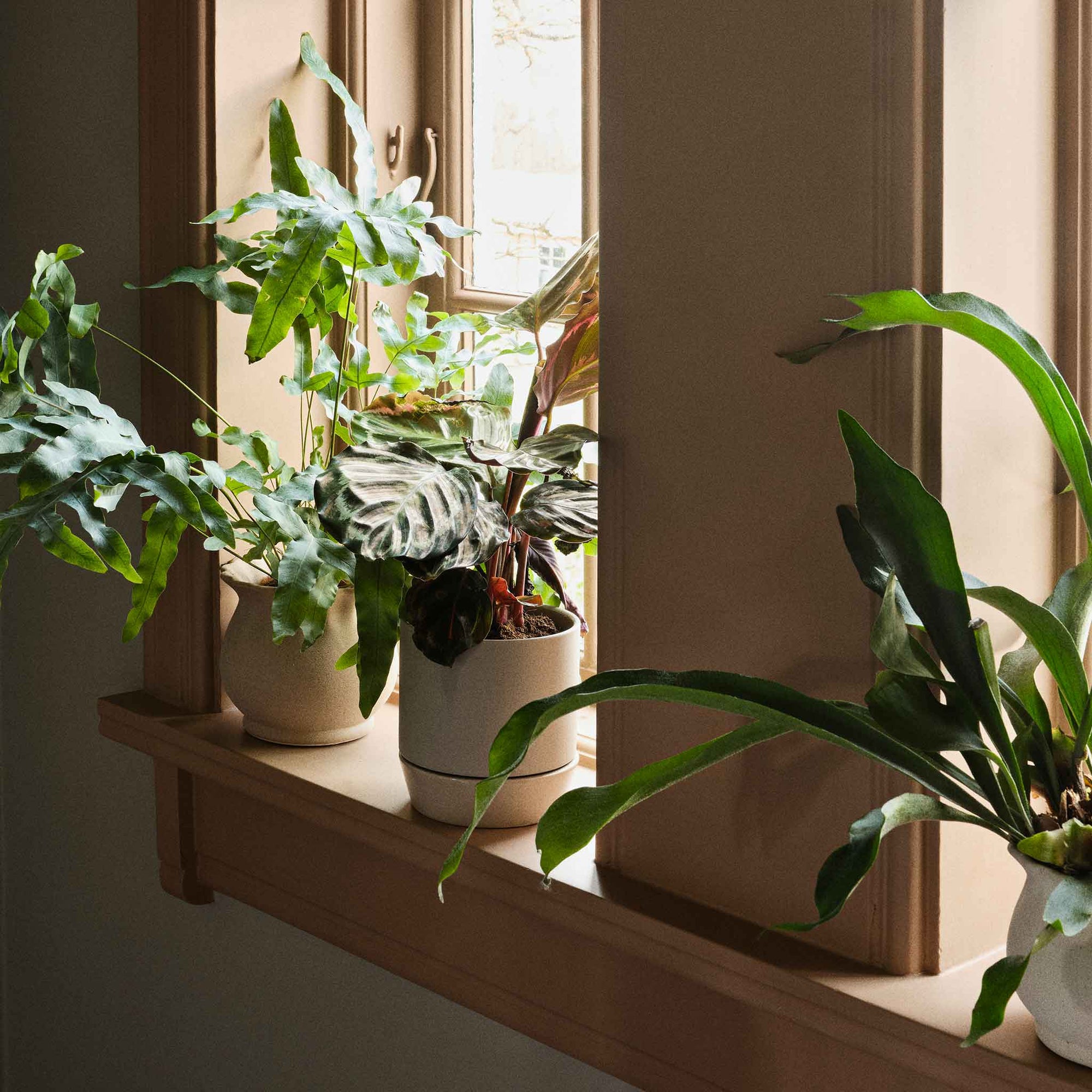 Broste Copenhagen（ブロステ・コペンハーゲン）は、1955年にデンマーク・コペンハーゲンで設立された、北欧デザインを代表するインテリアブランドのひとつです。創業以来、「暮らしに寄り添う上質なデザイン」をコンセプトに、自然から着想を得た柔らかな色彩や素材感を大切にしたコレクションを展開しています。トレンドに流されないタイムレスな美しさと実用性を兼ね備え、北欧ならではの穏やかで洗練された空間づくりをサポートします。クラフト感ある質感や素材選び、優れたディテールにより、住まいに心地よさと個性をもたらします。スカンジナビアの自然と都市生活を調和させるデザイン哲学のもと、Broste Copenhagenは現代的なライフスタイルに溶け込みながら、感性豊かな空間を演出します。北欧らしい温もりと美しさを取り入れたい方に、長く愛されるブランドです。