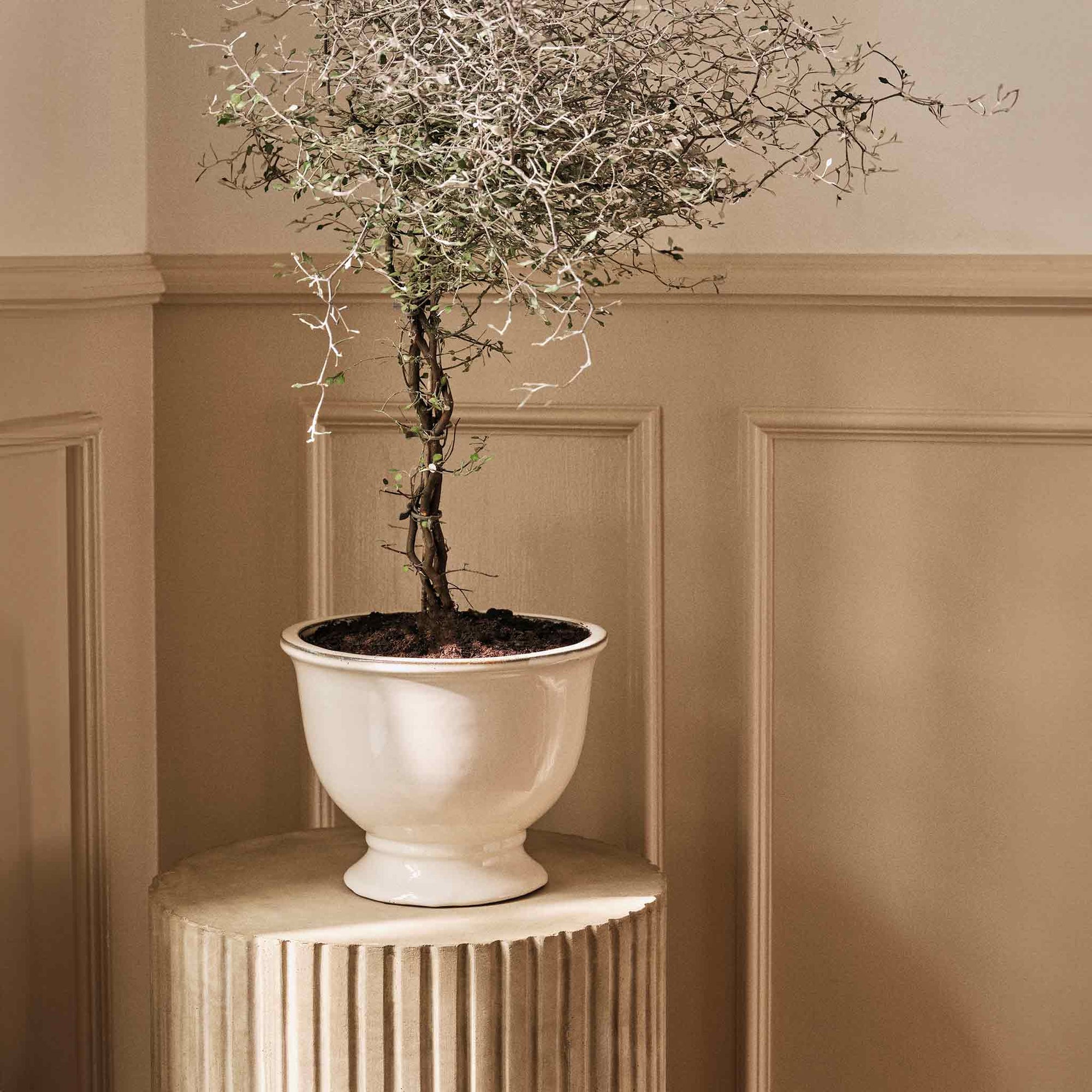 Broste Copenhagen（ブロステ・コペンハーゲン）は、1955年にデンマーク・コペンハーゲンで設立された、北欧デザインを代表するインテリアブランドのひとつです。創業以来、「暮らしに寄り添う上質なデザイン」をコンセプトに、自然から着想を得た柔らかな色彩や素材感を大切にしたコレクションを展開しています。トレンドに流されないタイムレスな美しさと実用性を兼ね備え、北欧ならではの穏やかで洗練された空間づくりをサポートします。クラフト感ある質感や素材選び、優れたディテールにより、住まいに心地よさと個性をもたらします。スカンジナビアの自然と都市生活を調和させるデザイン哲学のもと、Broste Copenhagenは現代的なライフスタイルに溶け込みながら、感性豊かな空間を演出します。北欧らしい温もりと美しさを取り入れたい方に、長く愛されるブランドです。