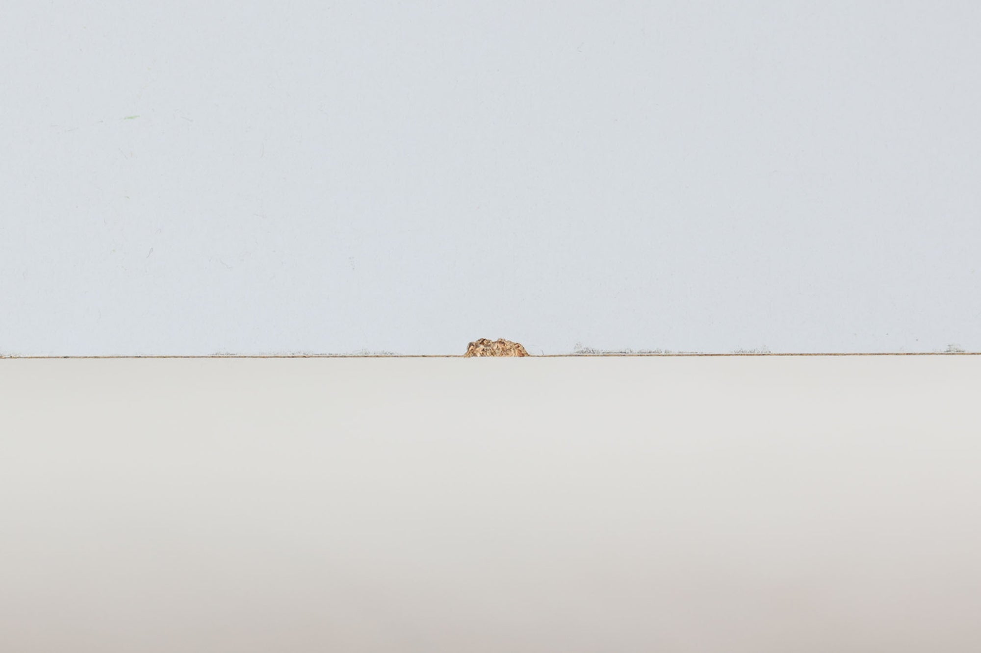 北欧より買い付けたGETAmA社製デイベッドです。 学生寮の為にデザインされた物で、無駄な装飾を省いたフレキシブルなソファです。 名前の通り、背もたれを上げるとベッドになります。 GETAmA社は元々ベッドメーカーの為、寝心地も良好です。 