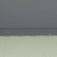 Hans J. WegnerがGetamaのためにデザインしたGE258デイベッド。チーク材ならではの深みある木肌と角脚の端正なラインが際立ち、直線を基調とした静かな造形美に北欧モダンの洗練が宿ります。背もたれを倒せばベッドとして使える機能的な構造で、リビングでは上質なソファ、ゲストルームや書斎では簡易ベッドとしても活躍する実用性の高い一台です。経年で増したチークの艶やかな表情とGetamaの堅牢なつくりが、ビンテージならではの風格と希少性を一層引き立てています。