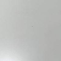 Alvar Aaltoがデザインし、Artekが製作したモデル81Cの正方形ダイニングテーブルです。バーチ材のしなやかな曲木脚とホワイトラミネート天板の組み合わせが、アアルトらしい機能美と軽やかな佇まいを生み出しています。幅75cmの扱いやすいサイズは2人用のダイニングテーブルとしてはもちろん、ワークデスクやショップ什器としても取り入れやすい一台。経年により深みを増した木肌と、長年使い込まれた天板の風合いがビンテージならではの味わいを感じさせ、Artekの普遍的なデザイン性と希少な北欧オリジナルの存在感を空間に添えてくれます。