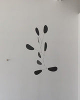 KINETIC LEVI キネティック レヴィ インテリアモビール Dolly Black