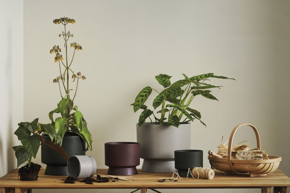ROSENDAHLCOPENHAGEN(ローゼンダール社コペンハーゲン)は、1984年にエリック・ローゼンダールによって設立された、デンマークで最も知られるライフスタイルブランドのひとつです。「良質なデザインは、創造性と構造体の間の絶妙に保たれたバランスから生まれる」というエリックの哲学には、「実用的」であると同時に「ライフスタイルを豊かにする」という、北欧の伝統的なデザイン思想が受け継がれています。創業当初より、オーレ・パルスビー、エリック・バッガー、リン・ウッツォンなど世界の第一線で活躍する著名デザイナーとともに、革新的で洗練されたプロダクトを生み出してきました。デンマーク王室御用達インテリア店「IllumsBolighus(イルムス・ボーリフス)」から小さなセレクトショップまで、幅広いショップが取り扱うデンマークの代表的なブランドです。