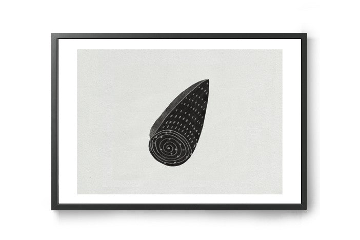 anafroisは、ポルトガルのコインブラを拠点に活動するイラストレーターです。コインブラ大学の建築学科を卒業した彼女は建築家でもあり、2012年以降から主にイラストレーションに取り組むようになりました。建築家でもあることから家がテーマである作品も多く、ユーモラスのある作品が特徴的です。