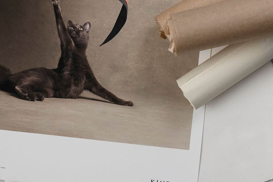 ポスター/アートプリント　50×70cm　Le Chat Chic