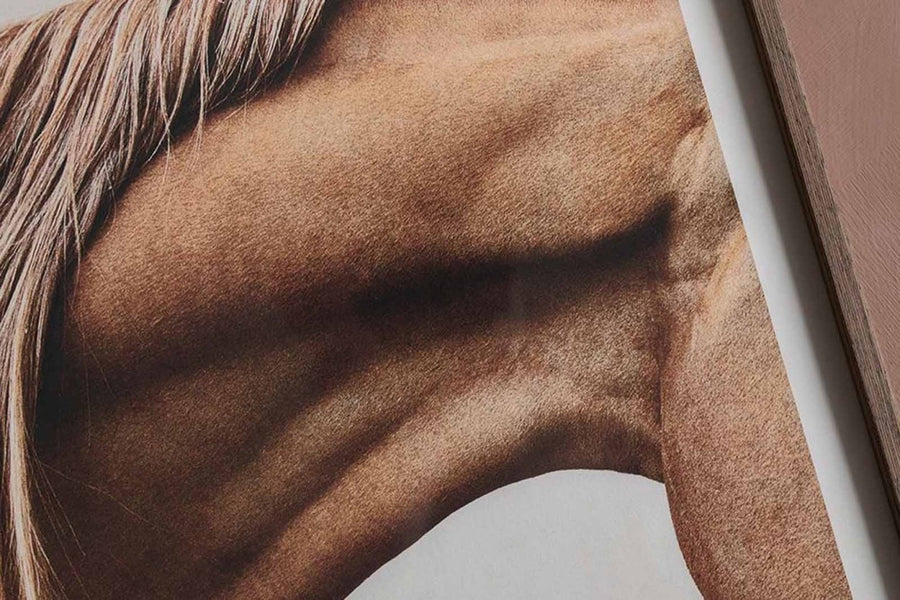 ポスター/アートプリント　40×50cm　Muscle Memory